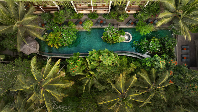 อาร์กามารา ดิจิวา อูบุด (Arkamara Dijiwa Ubud) ภาพที่ 4