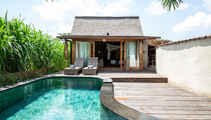 บลูคาร์มา ดิจิวา อูบุด (Blue Karma Dijiwa Ubud) ห้องพัก 2