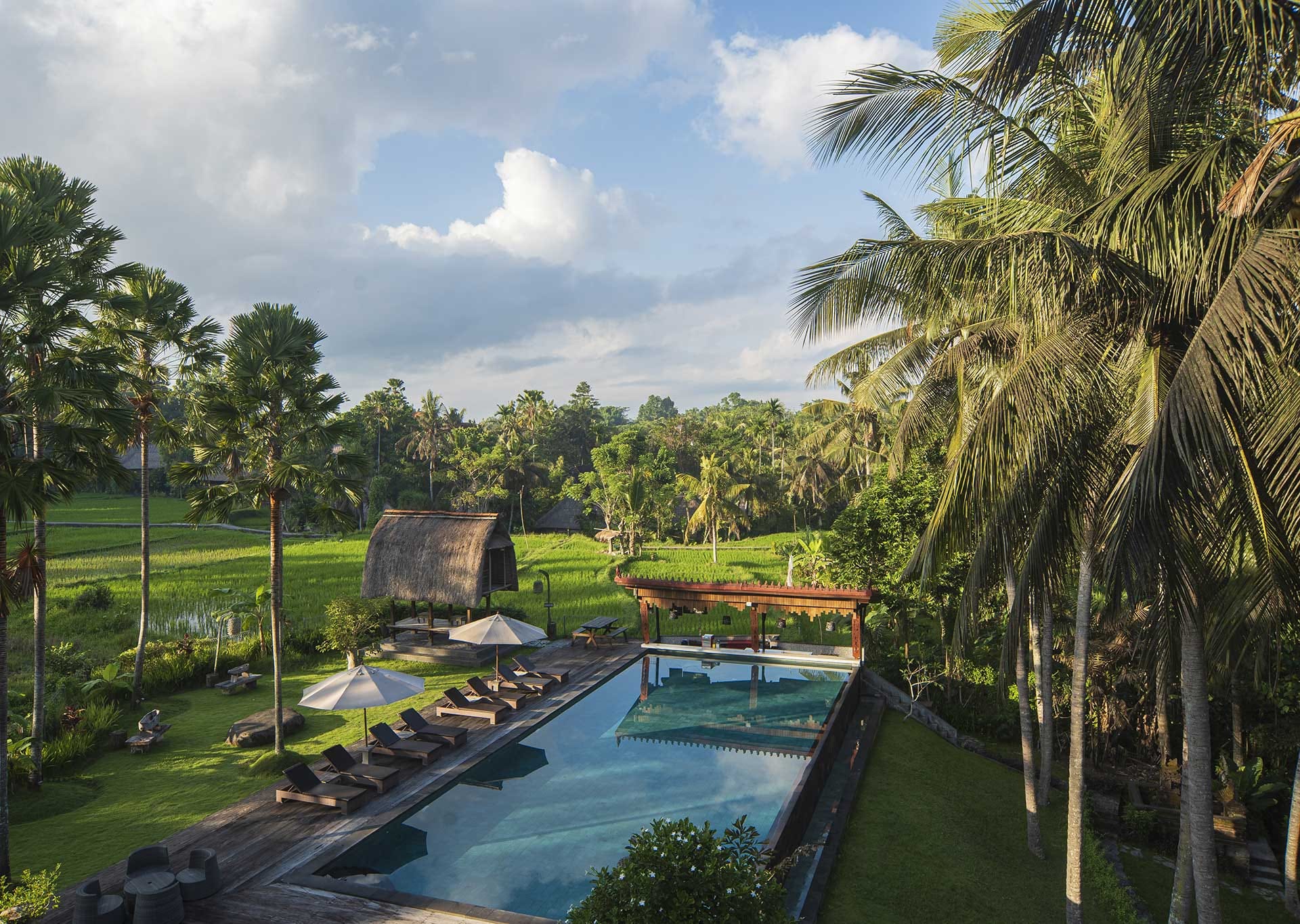 ดิ อาร์ตินี ดิจิวา อูบุด (The Artini Dijiwa Ubud) — อูบุด, บาหลี