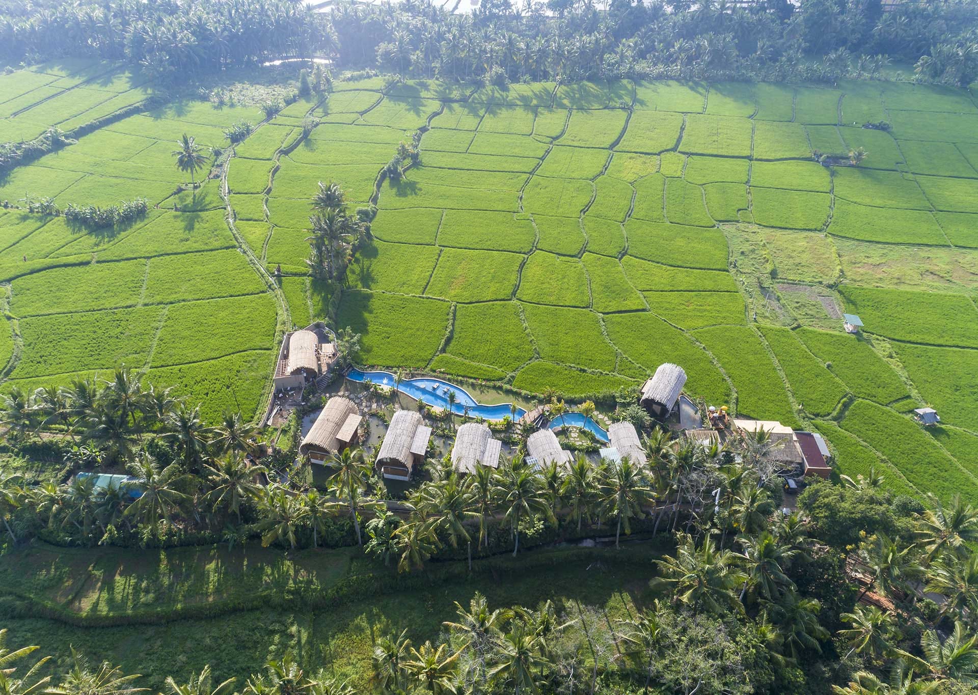 บีเฮาส์ ดิจิวา อูบุด (Beehouse Dijiwa Ubud) ภาพที่ 4